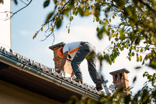 Best Roof Waterproofing Services  in Bunker Hl, IL
