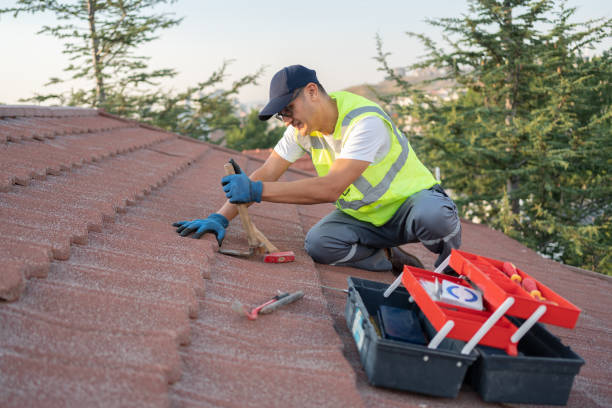 Best Metal Roofing Contractor  in Bunker Hl, IL