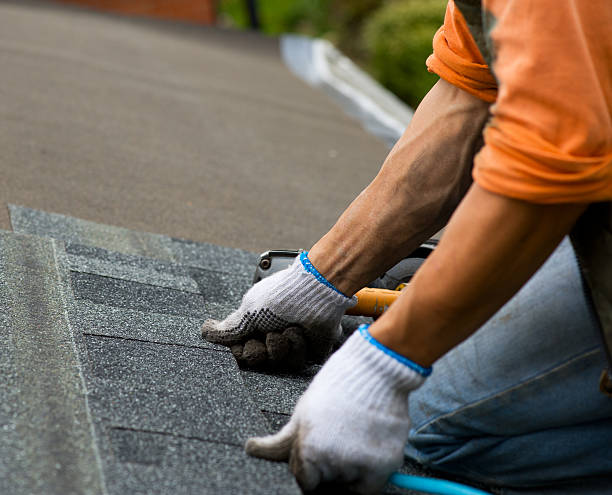 Roof Gutter Cleaning in Bunker Hill, IL