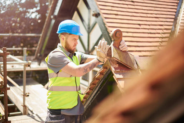 Best Flat Roof Repair Services  in Bunker Hl, IL