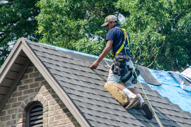 Best Residential Roofing Contractor  in Bunker Hl, IL